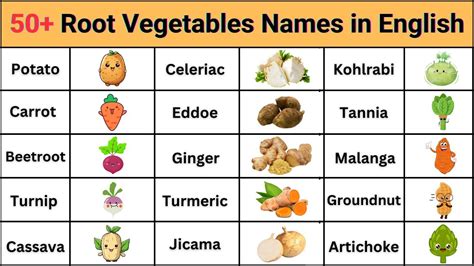 Root.food Names 的图像结果
