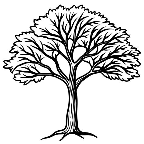 Image result for Simple Tree Line Drawing
