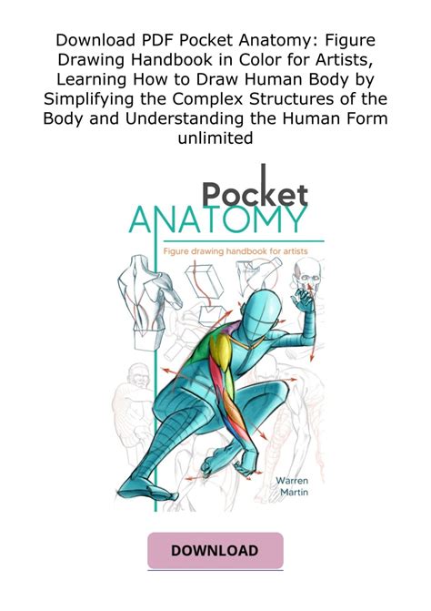 Download PDF Pocket Anatomy: Figure Drawing Handbook in Color for Artists, Learning How to Draw ...