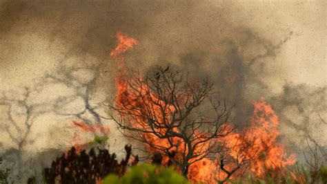Why Is There Smoke In Greensboro? Controlled Burns Lead To Massive Haze ...
