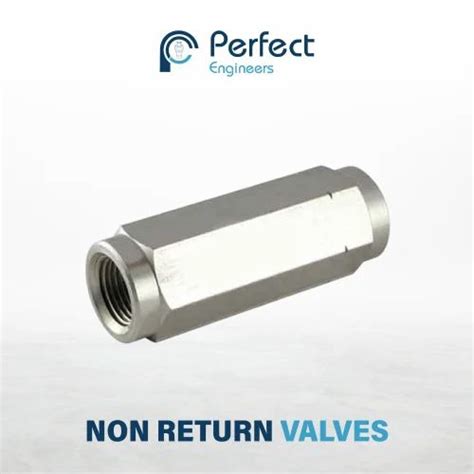 Non Return Valve - Non Return Valves Manufacturer from Mumbai
