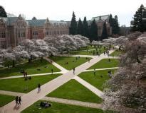 University of Washington Acceptance Rate 2025 for International Students