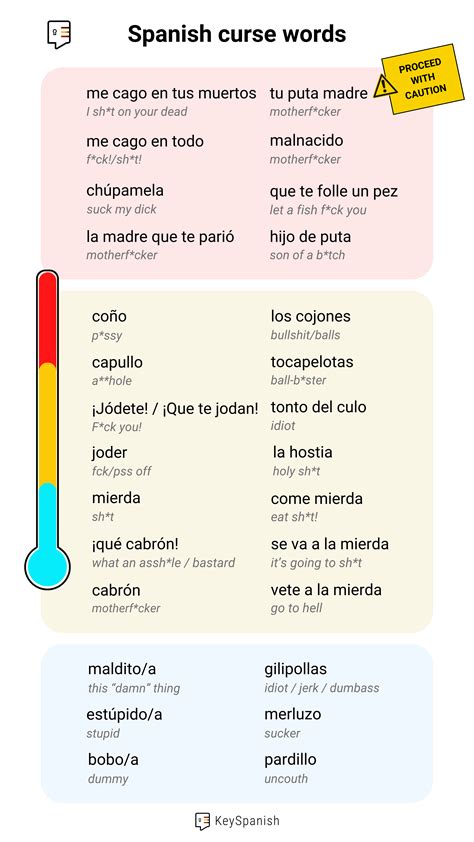 Spanish curse words | Use with caution! : r/learnspanish