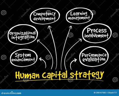 Image result for Human Capital Mapping Algorithm