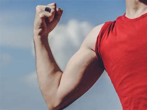 Urad dal benefits for your gut, bones, and heart: 4 high-protein ...