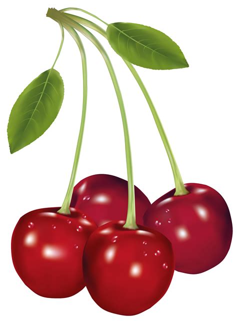 Free Cherries Cliparts, Download Free Cherries Cliparts png images ...