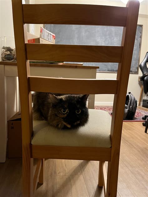 Pyplot Bar Color 的图像结果