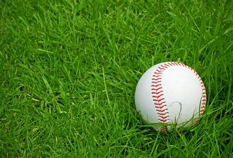 AOFOTO 8x6ft Baseball Ball On Grass Background Batter Pitcher Hit ...