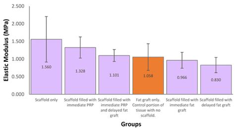 Conceptualizing Scaffold Guided Breast Tissue Regeneration in a ...