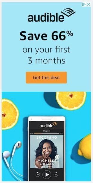 Display Ad Example 的图像结果