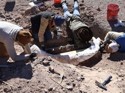A Hunter Was Out Looking for Deer in West Texas. He Found a Rare ...