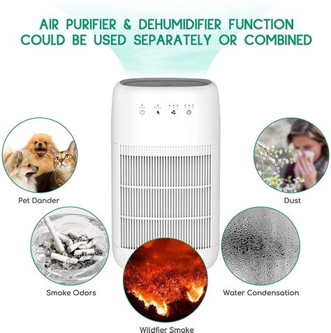 Dehumidifier Air Purifier Combo Singapore at Oscar Minahan blog