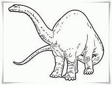 dinosaurier arten ausmalbilder ausmalbilder zum ausdrucken ausmalbilder dinosaurier dinosaurier arten ausmalbilder ausmalbilder zum ausdrucken ausmalbilder dinosaurier