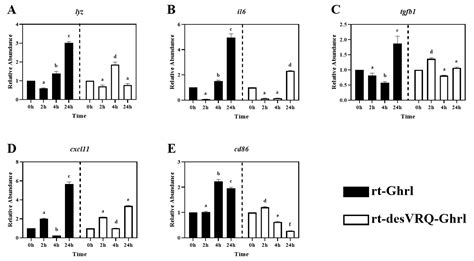 Ghrelin Modulates Differential Expression of Genes Relevant to Immune ...