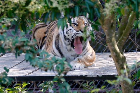 Latest updates on COVID-19 travel regulations | Travel + Leisure India