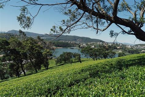 2025 Visit Nuwara Eliya in a Day tour from Kandy - with Reviews & Photos