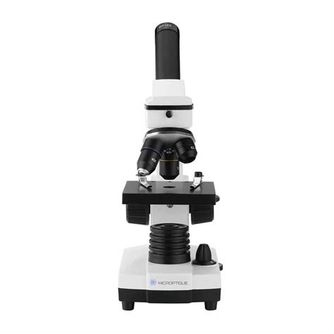 Image result for Microscope Optique