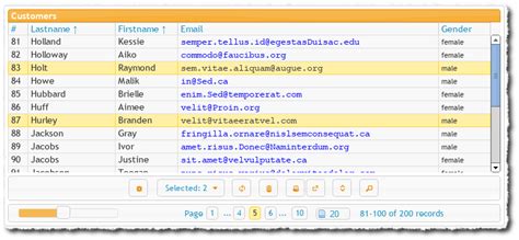 Image result for DataGrid Java