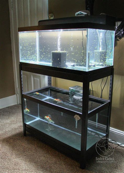 Solid Gold: The Perfect Rack for 40 Gallon Tanks | Fish tank stand ...