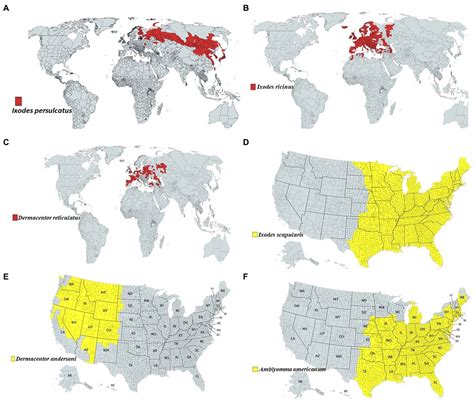 Frontiers | Geographical distribution and pathogenesis of ticks and tick-borne viral diseases