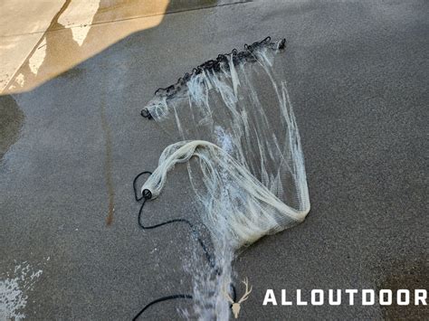 Cast Net Fishing Tips 的图像结果