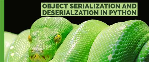 Image result for Serializing in Python