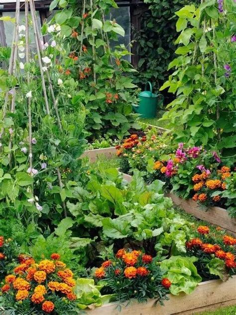 花园就是菜园，菜园就是花园 - 知乎