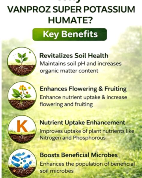 Buy Vanproz Super Potassium Humate @ ₹2500 | BigHaat