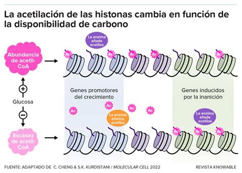 Estas proteínas han estado manejando secretamente nuestras células ...