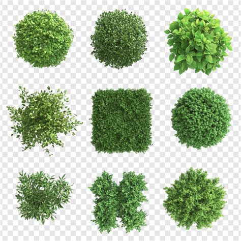 Neuf types différents de buissons et d'arbustes verts vus d'en haut ...