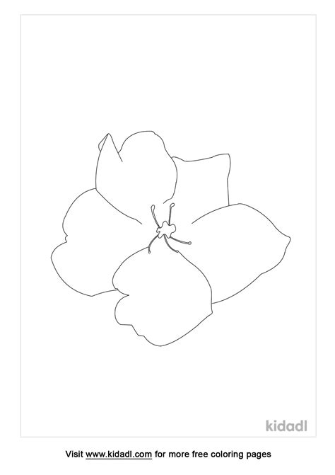 North Dakota State Flower Coloring Page