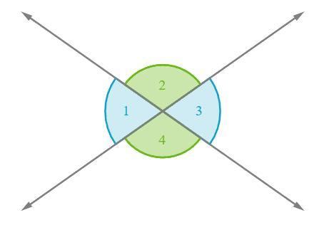 Which of the following statements is false? 1.Two vertically opposite ...