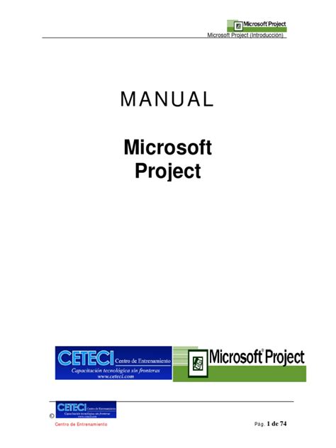 Image result for MS Project PDF