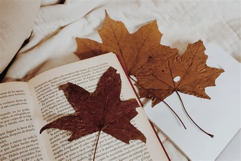 Image result for Text Analyzer