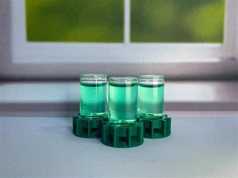 Ants in Winter | Surviving the Cold: Ants in Winter Explained – The Ant ...