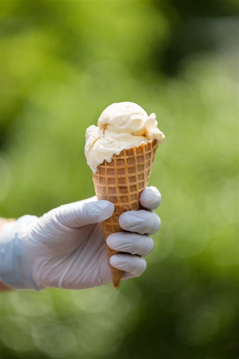 Lookbook - Port House Creamery