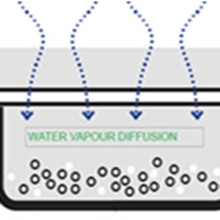 Image result for Dry Reaction Test