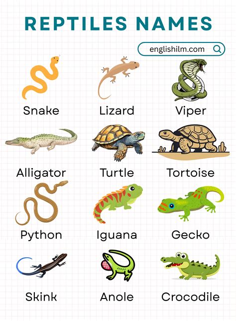 Reptiles with Names and Their Pictures • Englishilm