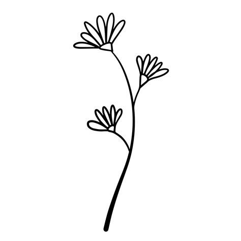 Flower Stem Vector