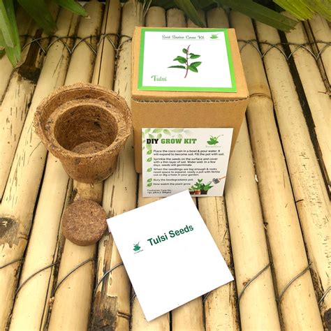 Sow and Grow Mini Grow Kits of Rama Tulsi/ Holy Basil: Set of 9 – Sow ...