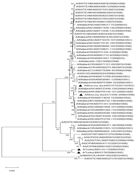Molecular Characterization of Non-H5 and Non-H7 Avian Influenza Viruses ...