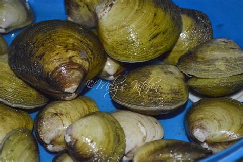 Image result for How to Cook Shell Sinabawan