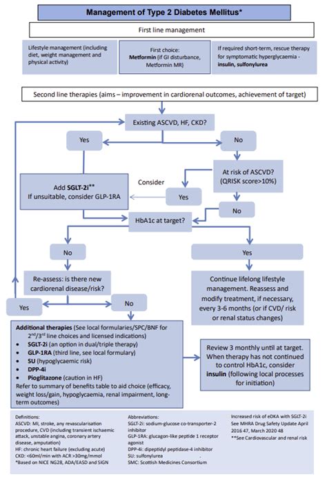 Image result for Algorithm for Diabetes Management