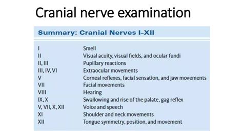 Cranial nerve examination | PPTX