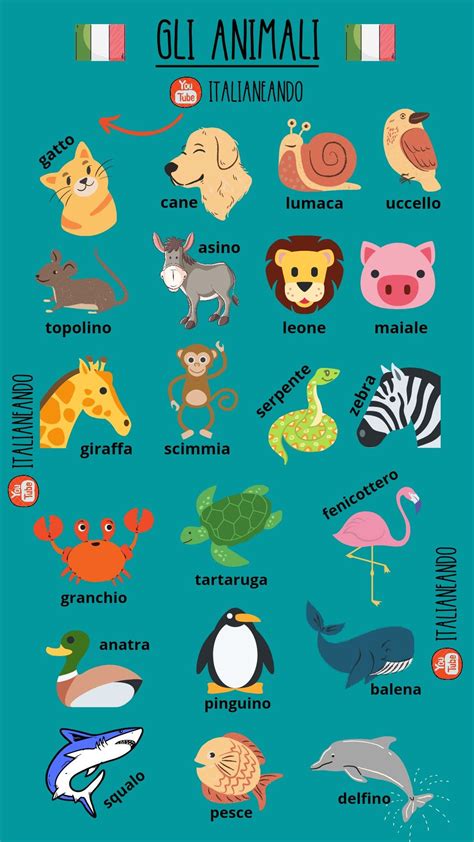 Gli animali in italiano | Aprender italiano gratis, Aprender italiano ...