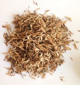 Ravel StyloHamata Grass Seeds(AnimalFodder,Cow Farming,Goat Feed,Home ...