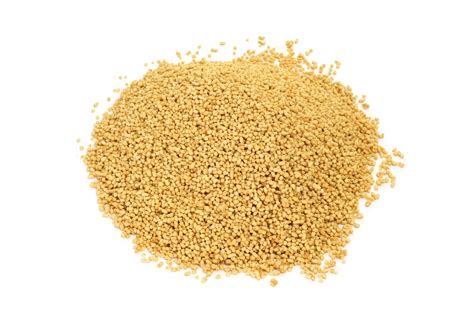 Lecithin Benefits and Risks - Health Benefits