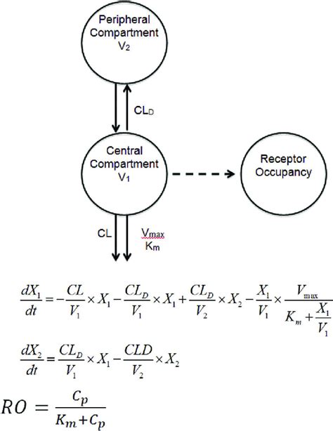 +Two Compartment PK Modelling with Mathematica 的图像结果