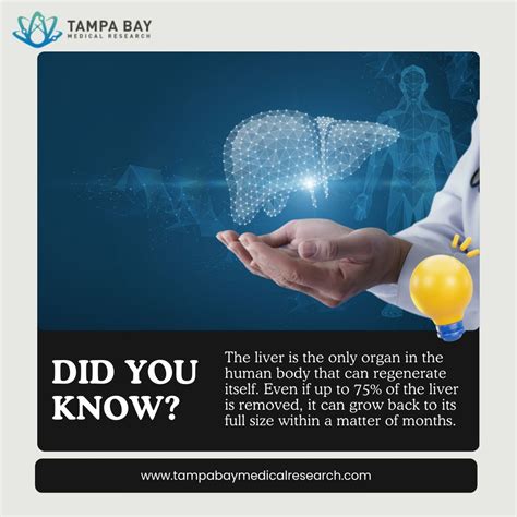 Tampa Bay Medical Research, Inc. on LinkedIn: #health #diabetes # ...