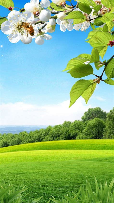Wallpaper Of Mobile